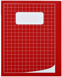 Schrift 210x165mm ruit 10mm 80blz assorti