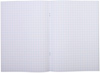 Schrift A4 ruit 10mm 80blz assorti-2