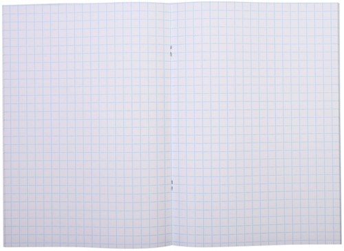 Schrift A4 ruit 10mm 80blz assorti-2