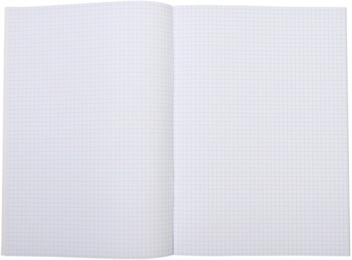 Schrift A4 ruit 5mm 80blz assorti-2