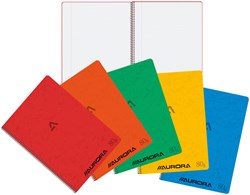 Schrift Aurora met spiraal A4 120blz ruit 5mm assorti