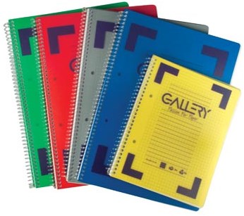 Notitieboek A5 Formaat Gelinieerd Traditional Kleuren Gallery Spiraalschrift Enkel Stuk
