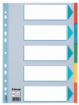 Esselte tabbladen, Voor A4 formaat, uit karton, 5 tabs, geassorteerde kleuren