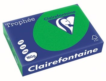 Gekleurd papier  A4  160 g  250 vel  bijartgroen Clairefontaine Trophée Intens-2