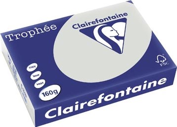 Gekleurd papier  A4  160 g  250 vel  lichtgrijs Clairefontaine Trophée Pastel