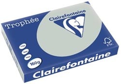 Gekleurd papier A3 160 gram lichtgrijs