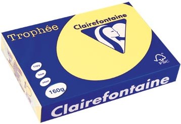 Clairefontaine gekleurd papier Trophée Pastel A4 160 g 250 vel citroengeel