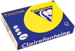 Clairefontaine papier gekleurd Trophée Intens A4 160 g 250 vel zonnegeel
