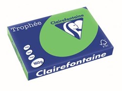 Gekleurd papier A3 grasgroen 60 gr 250 vel Clairefontaine Trophée Intens