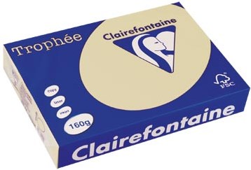 Gekleurd papier  A4  160 g  250 vel  gems Clairefontaine Trophée Pastel