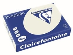 Clairefontaine Trophée Pastel, gekleurd papier, A4, 160 g, 250 vel, parelgrijs