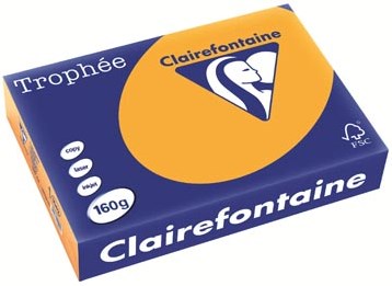 Clairefontaine gekleurd papier Trophée Pastel A4 160 g 250 vel oranje