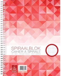 Work schrift A4 geruit 100 bladzijden