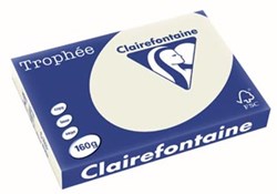 Gekleurd papier A3 parelgrijs 160 gr 250 vel Clairefontaine Trophée Pastel