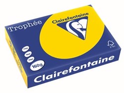 Gekleurd papier A4 160g 250 vel goudgeel Clairefontaine Trophée Pastel
