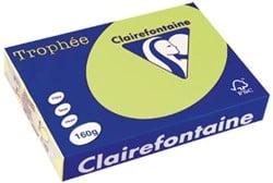 Gekleurd papier  A4  160 g  250 vel  golfgroen Clairefontaine Trophée Pastel