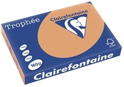 Gekleurd papier A3 160 gram mokkabruin