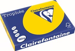 Gekleurd papier goudgeel A3 160 gr 250 vel goudgeel Clairefontaine Trophée Pastel