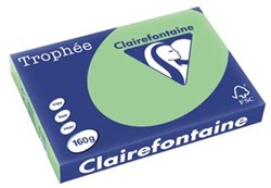 Gekleurd papier A3 160 gram natuurgroen