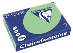 Clairefontaine gekleurd papier Trophée Pastel A4 160 g 250 vel natuurgroen