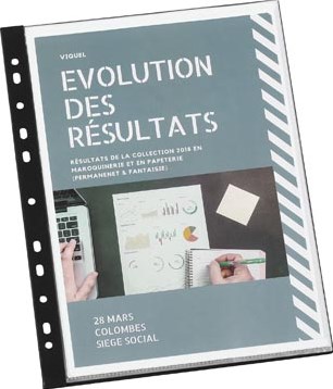 Showalbum A4 met  11-gaatsperforatie 20 tassen Viquel