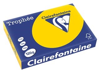 Clairefontaine gekleurd papier Trophée Pastel A4 120 g 250 vel goudgeel