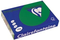 Clairefontaine Trophée Intens, gekleurd papier, A4, 120 g, 250 vel, dennengroen
