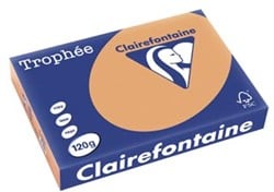 Gekleurd papier  A4  120 g  250 vel mokkabruin Clairefontaine Trophée Pastel