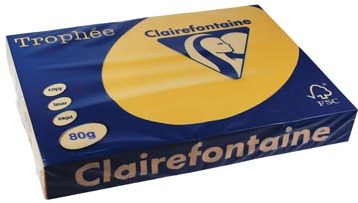 A3 gekleurd papier goudgeel 80 gr 500 vel Clairefontaine Trophée Pastel