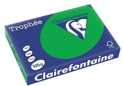 Clairefontaine Trophée Intens, gekleurd papier, A4, 120 g, 250 vel, bijartgroen