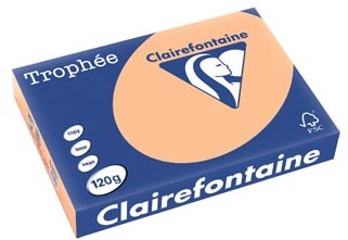 Gekleurd papier A4 120 gram abrikoos