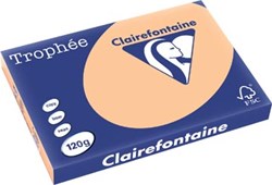 Gekleurd papier A3 120 gram abrikoos
