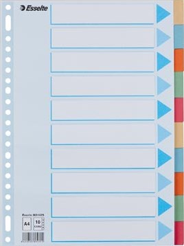 Esselte tabbladen 10 tabs, karton van 275 g/m²