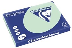 Clairefontaine gekleurd papier Trophée Pastel A3 120 g 250 vel groen
