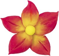 Boetseerklei Jovi Plastalina 15gr neonkleuren-3