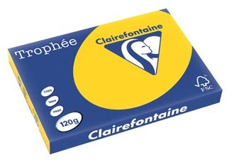 A3 papier gekleurd goudgeel 120 gr 250 vel Clairefontaine Trophée Pastel