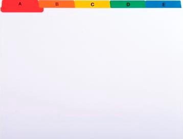 Exacompta tabbladen voor systeemkaartenbakken 25 tabs A5-2