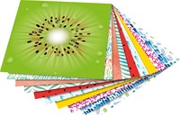 Vouwblaadjes Folia 80gr 15x15cm 50 vel 2-zijdig 10 tropical designs-3