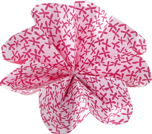 Vouwblaadjes Folia 80gr 15x15cm 50 vel 2-zijdig 10 tropical designs-2