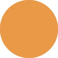 Fineliner STABILO point 88/85 fijn papaya-1