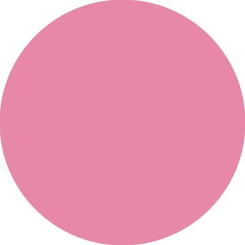 Brushstift STABILO Pen 568/29 roze-3