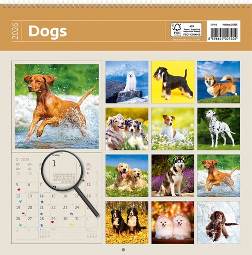 Kalender 2026 Helma 365 30x30cm honden-2