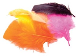 Bouhon pluimen 4 cm 120 stuks