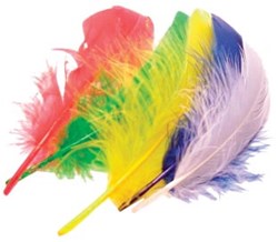 Bouhon pluimen 15 cm 50 stuks