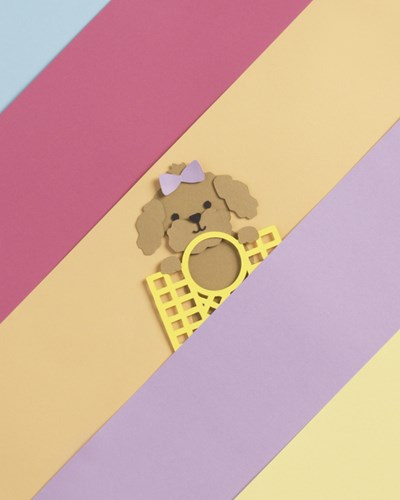 Folia fotokarton goud mat-3