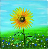 Schildersdoek Qrea Studio 60x80cm-2