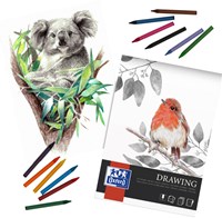 Tekenblok Oxford Drawing A3 40 vel 160 gram-1