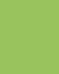 Etalagekarton folia 48x68cm 380gr nr941 fluor groen