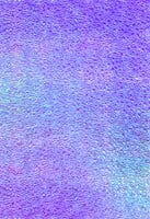 Iriserend papier Folia 23x33cm 75gr-2
