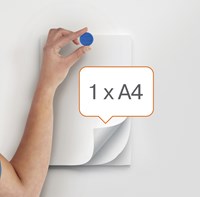 Magneet Nobo 13mm assorti 10 stuks-3